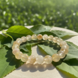 26ca1bfa-cd27-49eb-80bd-512757d37d5d