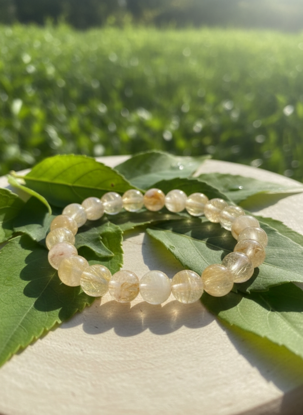 26ca1bfa-cd27-49eb-80bd-512757d37d5d