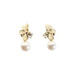 WhatsApp Image 2025-12-19 at 10.20.10 PM