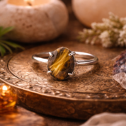 ChatGPT Image Mar 5, 2026, 02_41_32 PM